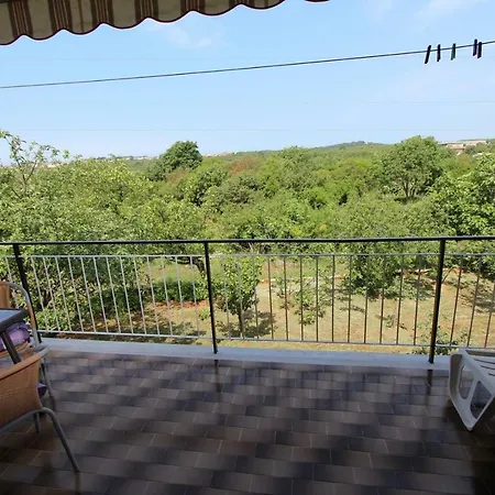 Maslina Apartment